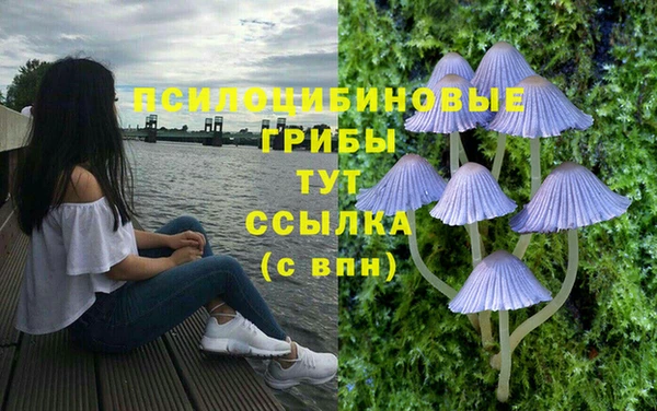 мескалин Богородицк