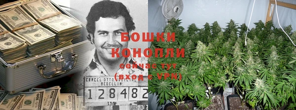 мескалин Богородицк