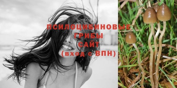 COCAINE Богданович