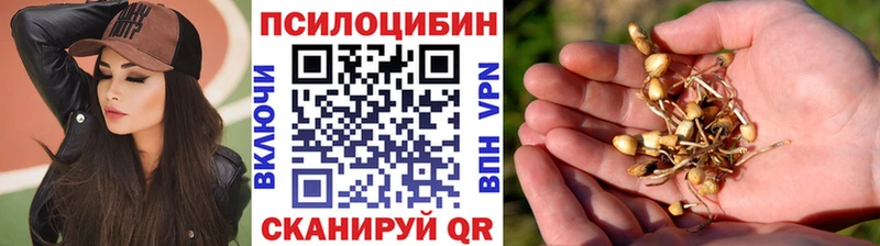 Купить закладки  Кяхта  Галлюциногенные грибы Magic Shrooms 